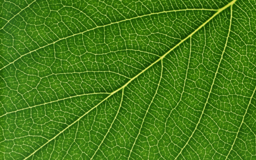 581732 (a): :1920x1200